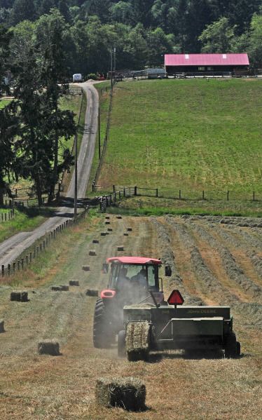 Warwick Bryant, owner of Kaukiki Farms on the Key Peninsula, bales hay on the front pasture of his 74-acre farm in Longbranch, Wash., July 12, 2014.